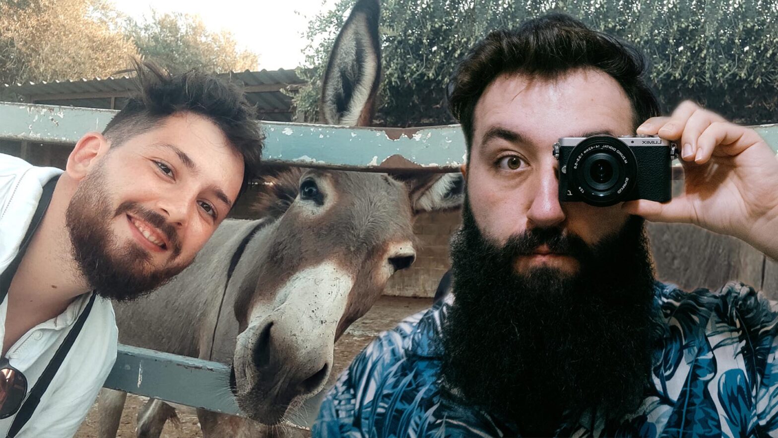 Fotomontaż. Po lewej Bartek Zaleśkiewicz pozuje razem z osłem, który jest w zagrodzie. Po prawej Mateusz Matyasik pozuje z małym aparatem fotograficznym, który przykłada do oka.