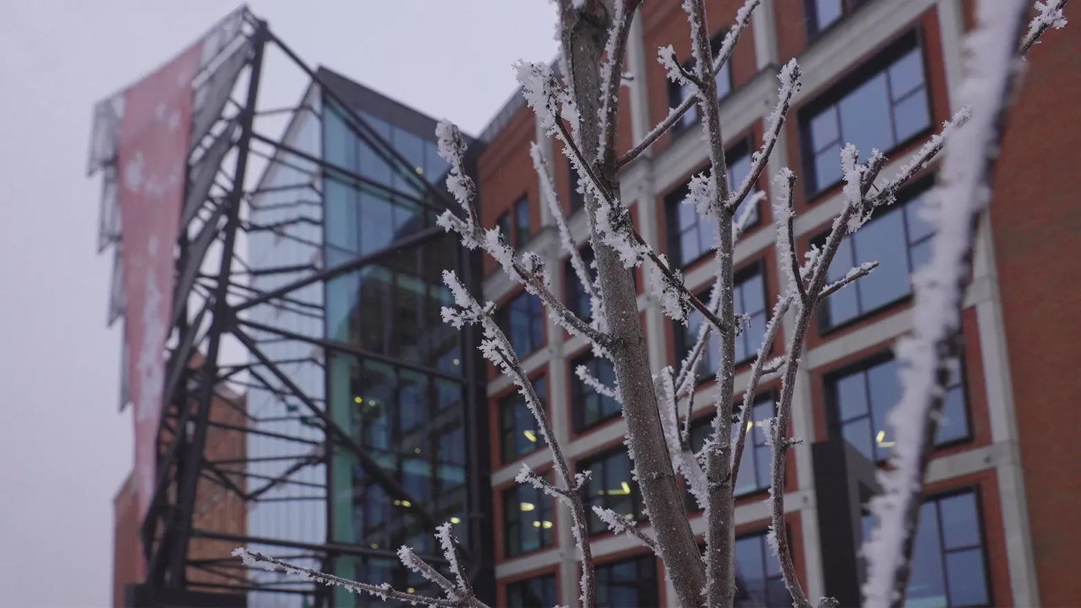 Budynek Wojewódzkiego Ośrodka Animacji Kultury w zimowej scenerii. Przed budynkiem widać łodygi drzewa, oprószone śniegiem.