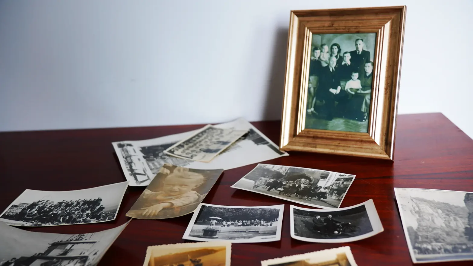 W głównym kadrze znajduje czarnobiałe zdjęcie rodziny w złotej ramce. Wkoło porozrzucane są różne stare zdjęcia rodzinne.